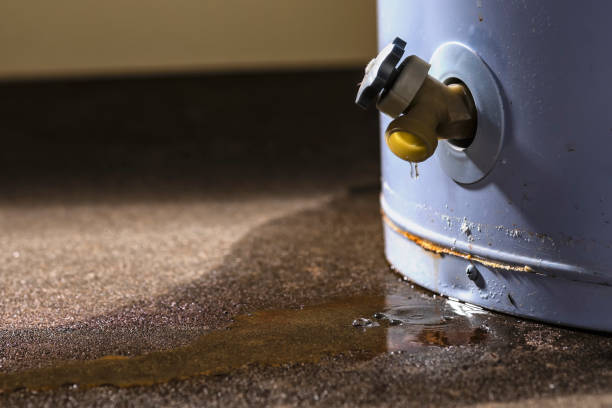 Best Water damage restoration near me  in Boron, CA