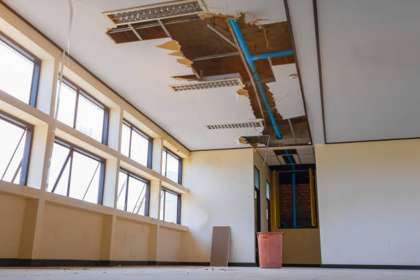 Best Flood restoration services  in Boron, CA
