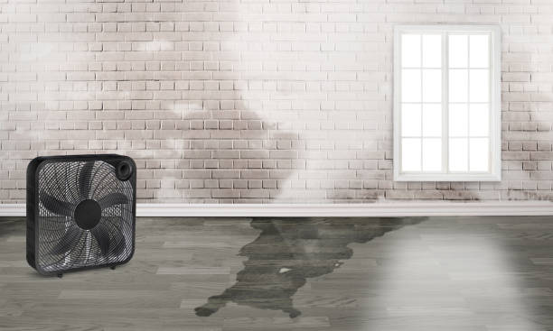 Best Flood damage cleanup  in Boron, CA