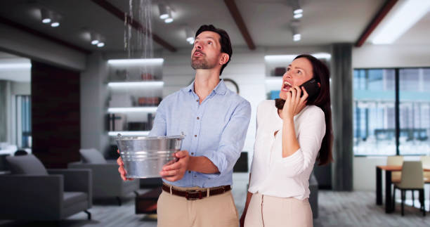 Best Flood damage cleanup  in Boron, CA